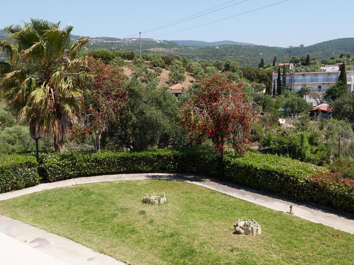 Thea Studios Finikounta Exterior foto